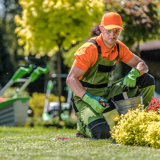 Serviços de Jardineiro em Condomínios Residenciais - RCT Contratações